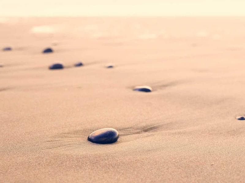 I will run a full SEO and AI-search readiness audit