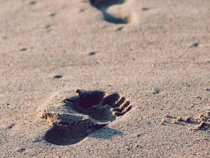 I will create an authority content plan for your niche